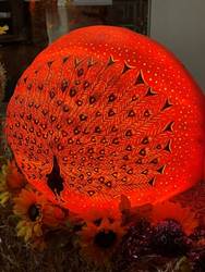 A large round orange and yellow object with a peacock design on it
AI-generated content may be incorrect.